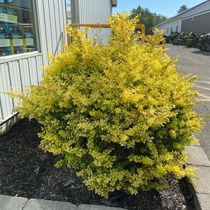 Meet your Posher, Kassandra